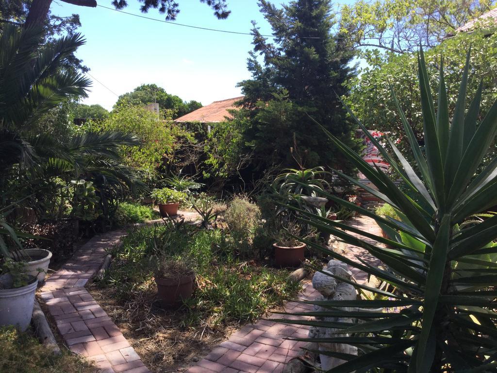 The Buddha Garden Κέιπ Τάουν Εξωτερικό φωτογραφία